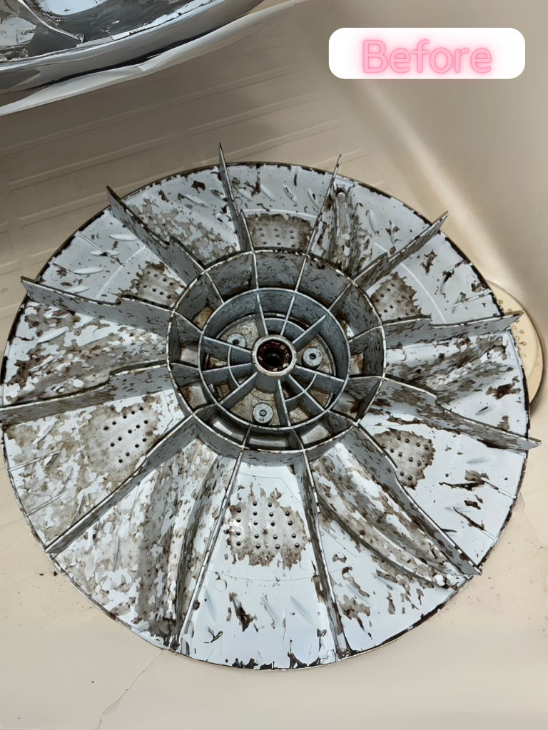 黒カビのビフォー